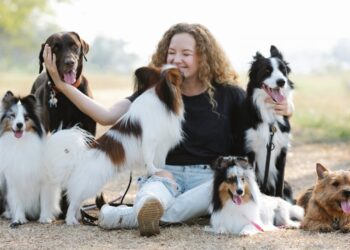 Warum leckt mein Hund mich ab?