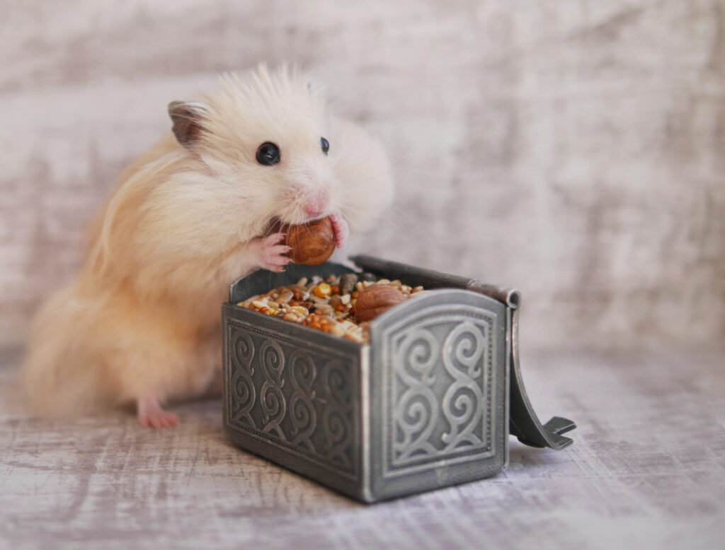 Ratgeber: Der Hamster im Kinderzimmer: Nicht immer die perfekte Wahl - wie man einen Hamster hält