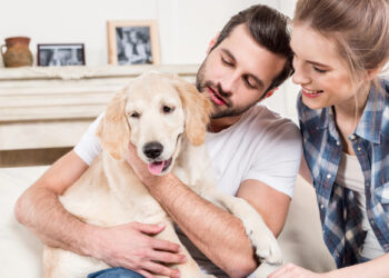 Beim Kuscheln mit Haustieren aufpassen