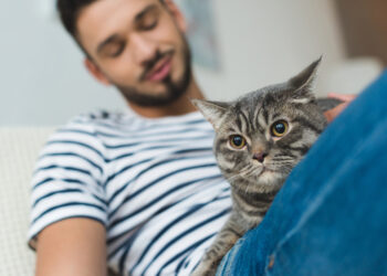 Tiermedizinische Beratung rund um die Uhr: Digitale Hilfe für Tierhalter:innen