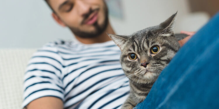Tiermedizinische Beratung rund um die Uhr: Digitale Hilfe für Tierhalter:innen