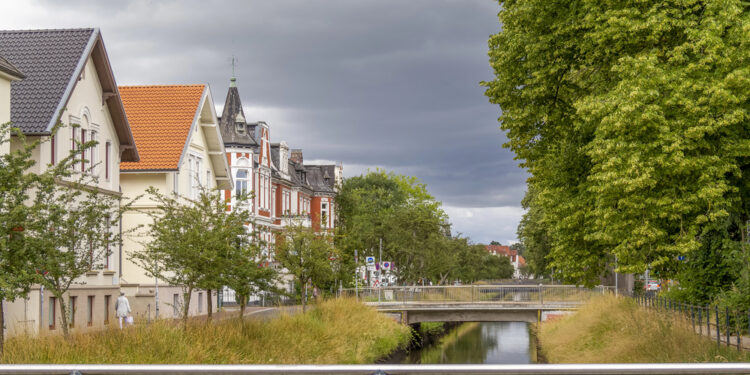 Wie beeinflusst die Ernährung die Gesundheit von Haustieren?